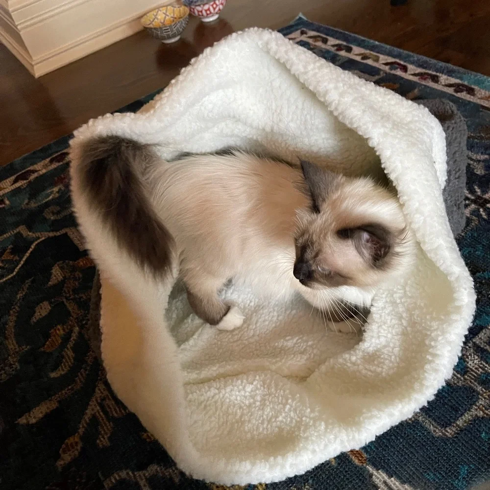 Kitty Cat Burrow Bag